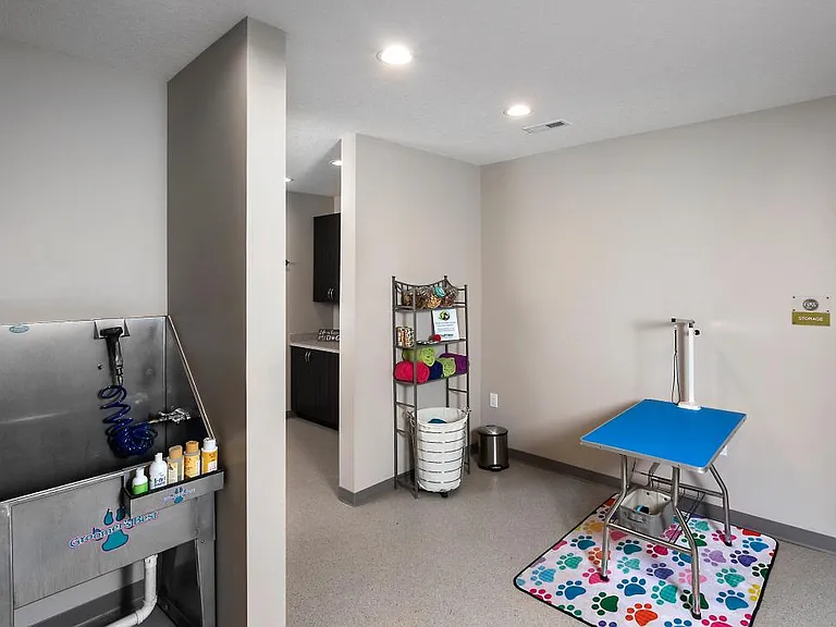 Pet Spa
