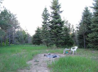 3792 County Road 571 NE, Kalkaska, MI 49646
