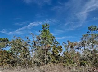 15176 Gonzo Rd LOT 2, Brooksville, FL 34614