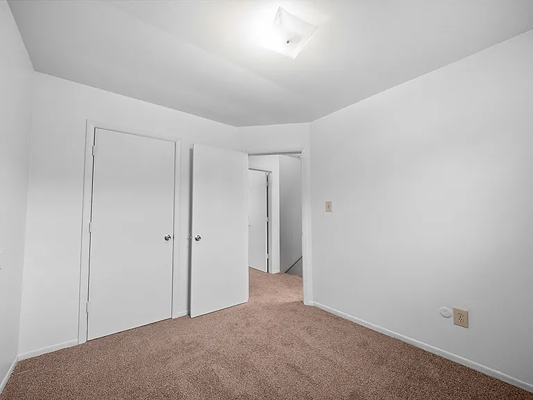 Cozy, Plush Carpeting