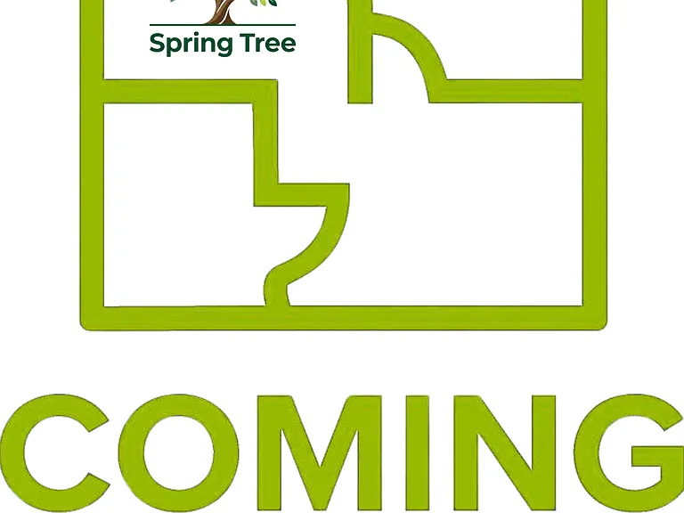 Spring Tree Apartments — Photo 18