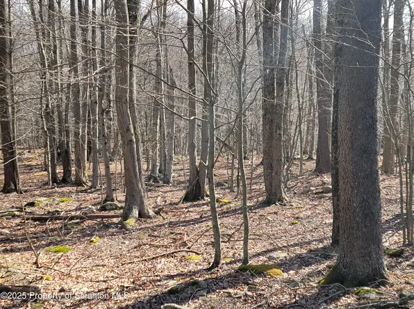 17 Navajo Path, Gouldsboro, PA 18424