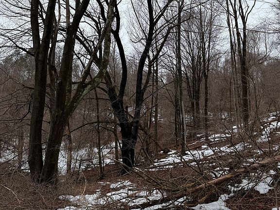 3rd image of 1092 Hickory Hill Road