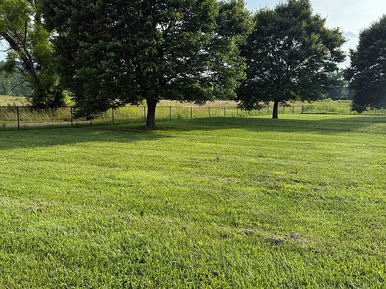 Broadleaf Dr — Photo 5