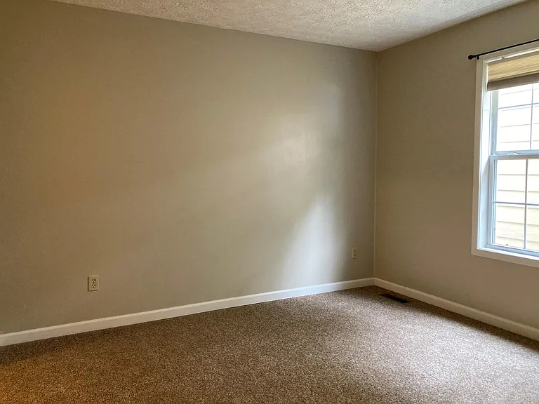 206 Spring Vine Dr — Photo 10