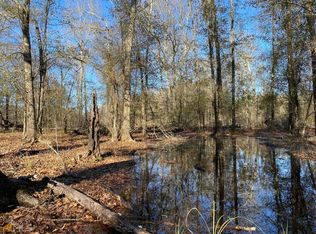 10 Ray Rd, Damascus, GA 39841