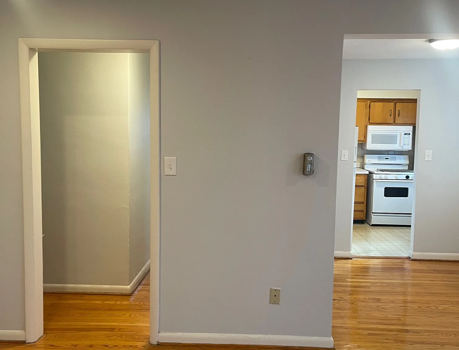 Ballston Gardens - 24 — Photo 3