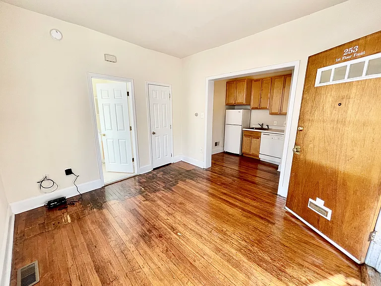 253 W Hansberry St #1F — Photo 6