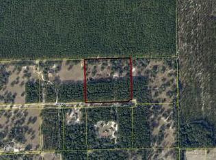 Tbd 196th Pl, Wellborn, FL 32094