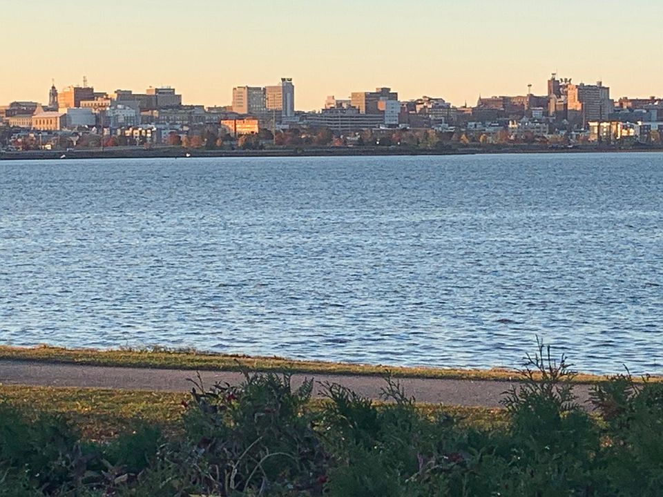 Portland, Maine skyline and walking trail as seen from back deck