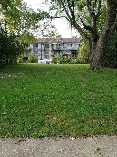3 bedroom, 2 bath House: Available August 2027! — Photo 3