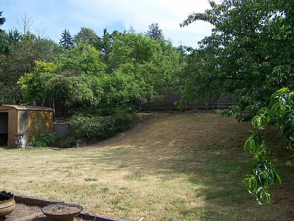 Large Back Yard with fruit trees 