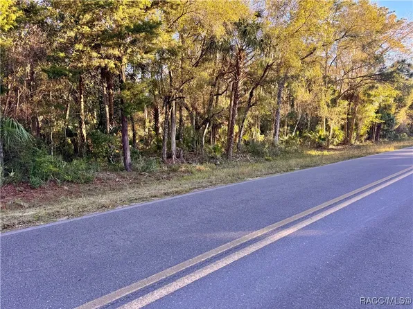 0 SE Hammock Rd, Inglis, FL 34449
