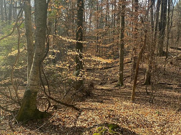 3rd image of Fuqua Dr