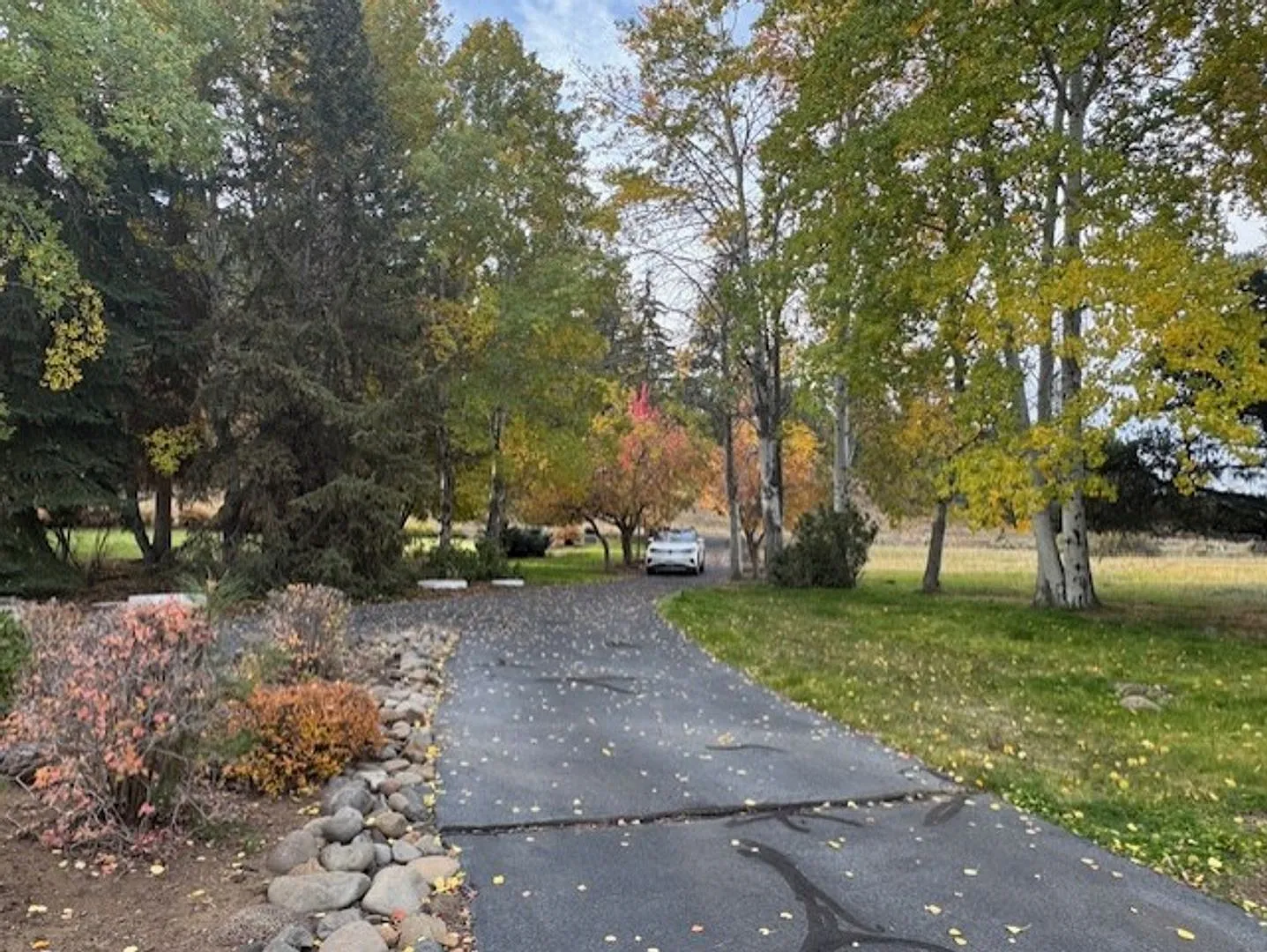Single level home with amazing river views — Photo 4