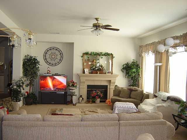 Bright Cozy Living Room
