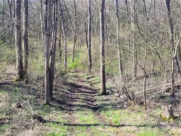 18168 County Road 106, Coshocton, OH 43812