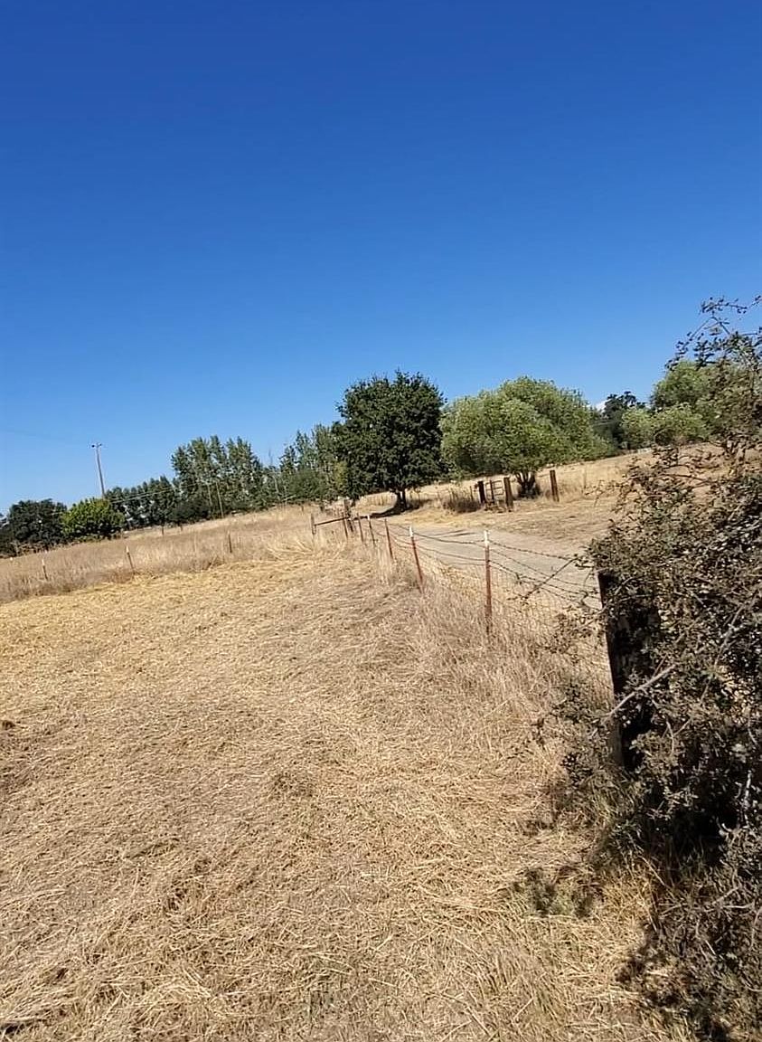 147 W Wise Rd, Lincoln, CA 95648 Zillow