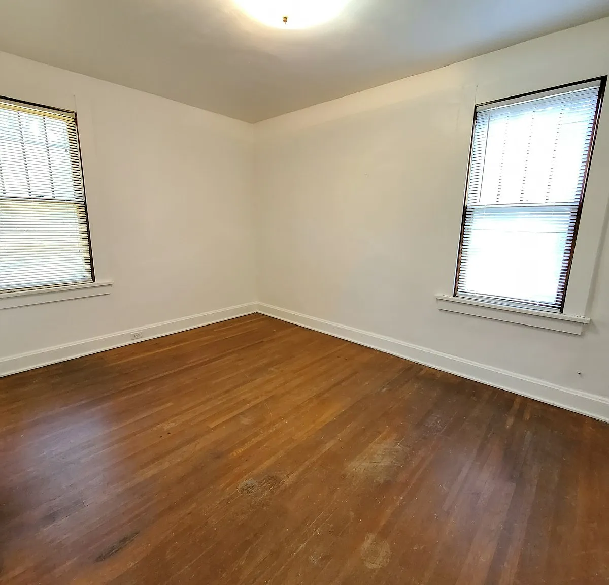 71 Dana Avenue, Unit D — Photo 4