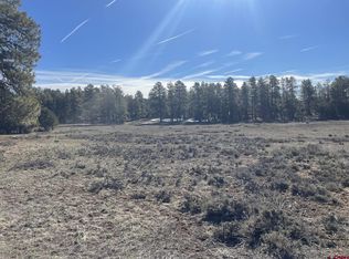 142 Meadows Rd, Durango, CO 81301