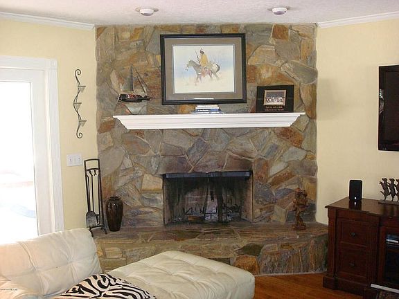 Wood burning Fireplace