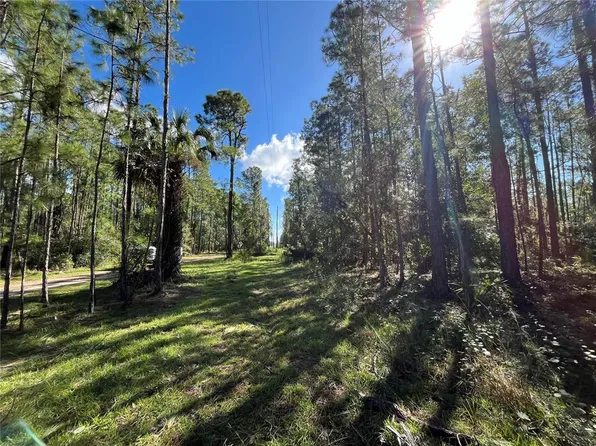 Magnolia Dr Lot 19, Indian Lake Estates, FL 33855