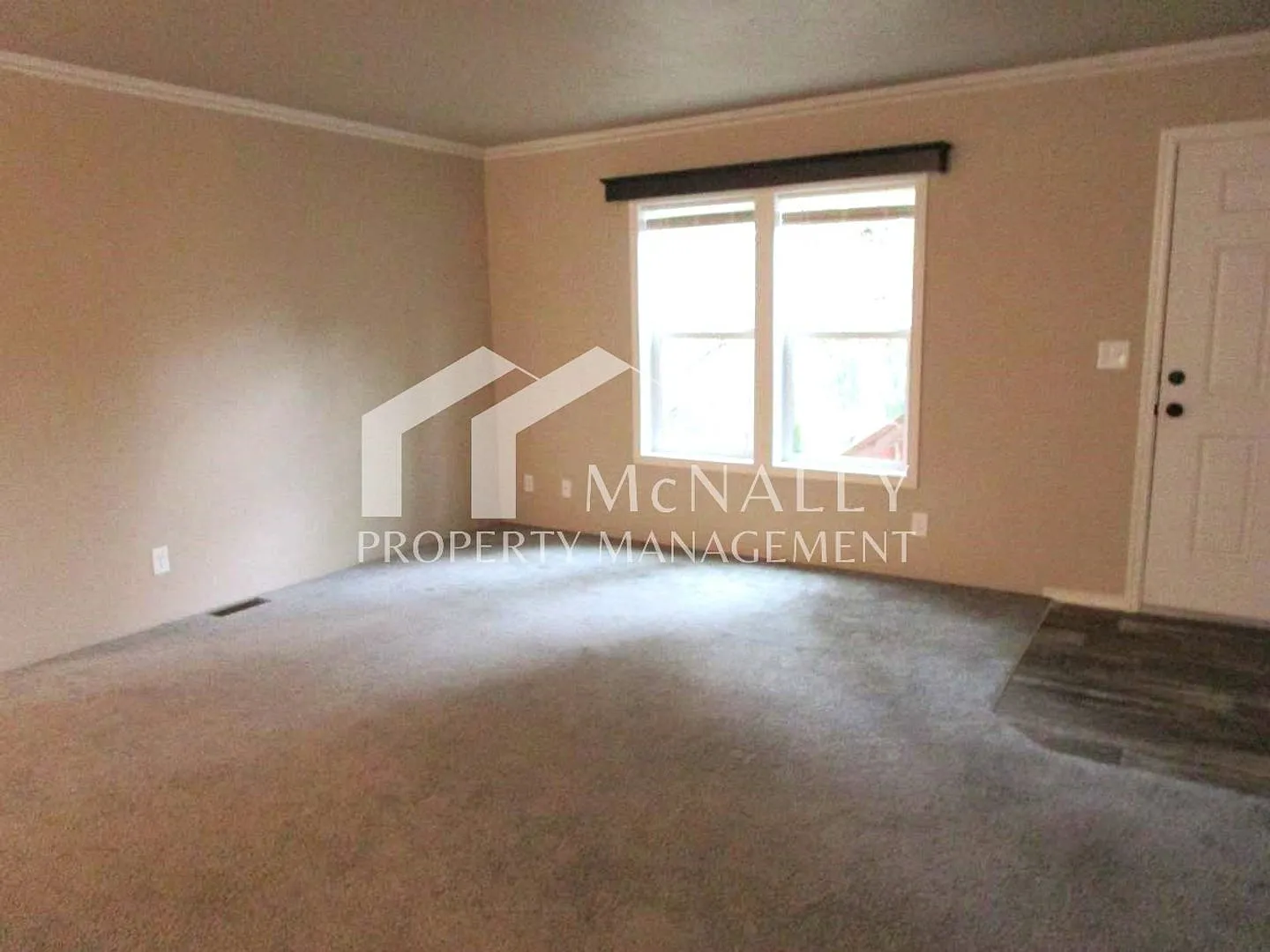 3 Bedroom 2 Bath in Palmer Lake Community — Photo 3
