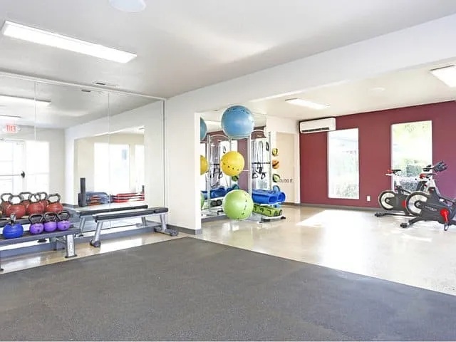Yoga and Spin Studio