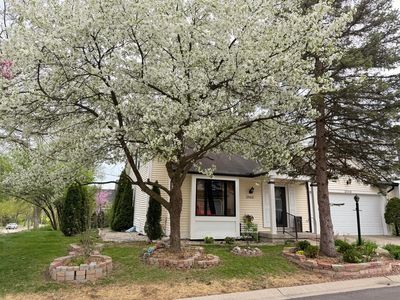2503 Jade Ct, Ann Arbor, MI, 48103