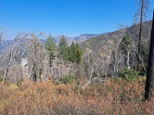 11599 Drunken Gulch Rd, French Gulch, CA 96033