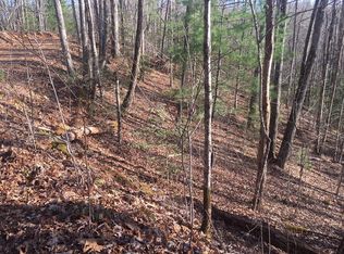 32 Springwood Lake Rd, Robbinsville, NC 28771