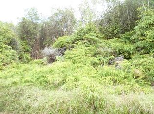 Hulu St LOT 123, Volcano, HI 96785