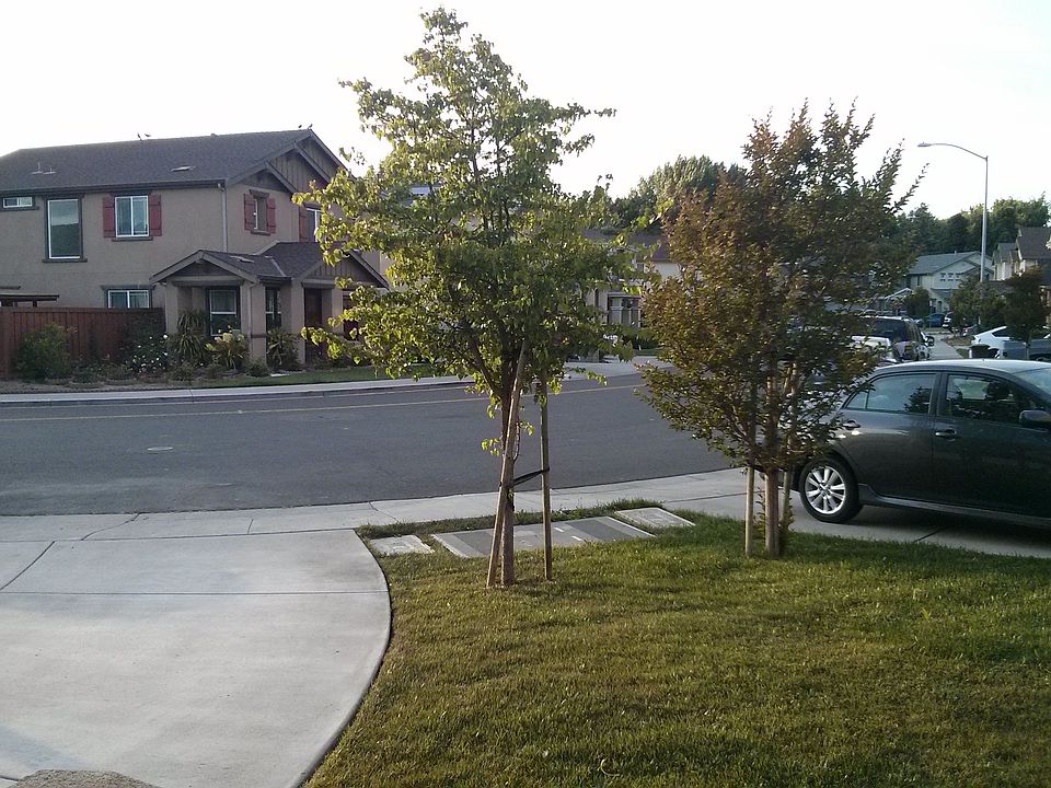 2nd image of 132 Spears Cir