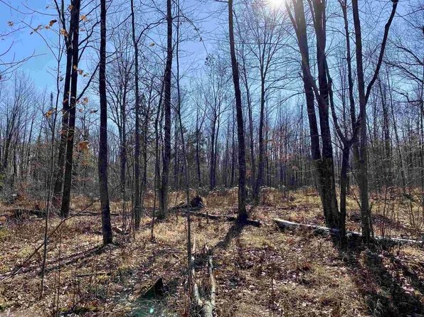 MAIL ROUTE ROAD #W4649 Mail Route Rd, Prentice, WI 54556