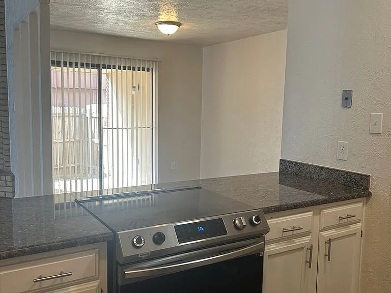 4020 Blue Flag Ln — Photo 13
