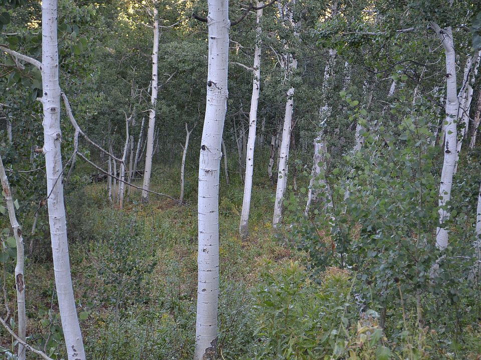 1st image of 2291 S Uintah View Dr #57
