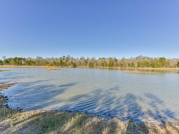 5th image of 20065 Spring Hill Ln