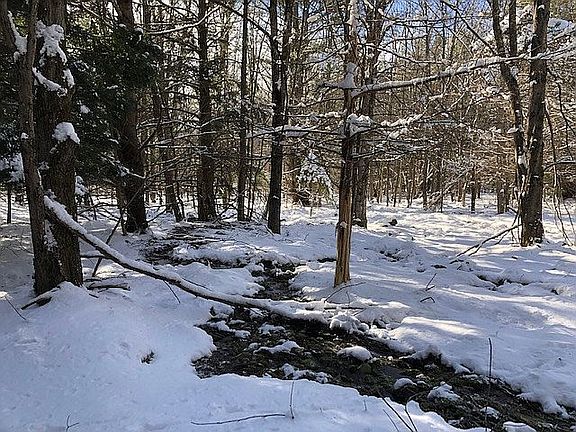 4th image of 0 Deer Run Fawn Hl
