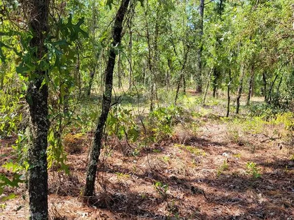 0 SW 93rd St #11, Dunnellon, FL 34432