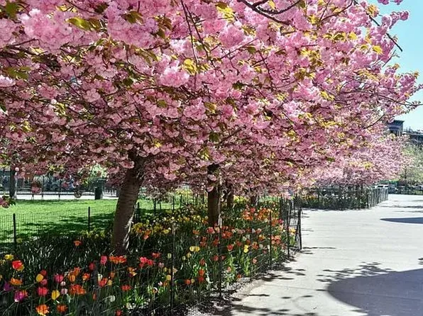 1831 Madison Avenue image 11 of 17