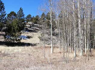 99 Cheyenne Trl, Lake George, CO 80827