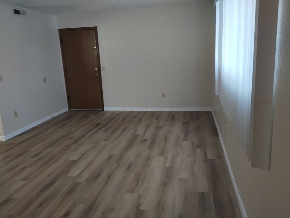 LIVING ROOM ENTRANCE DOOR. NEW FLOORING