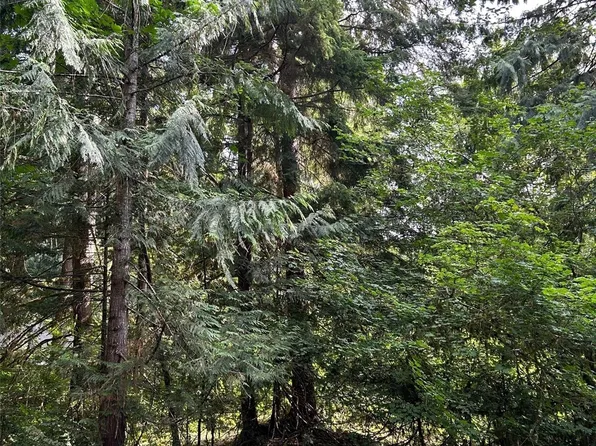 18032 Welcome Road, Glacier, WA 98244