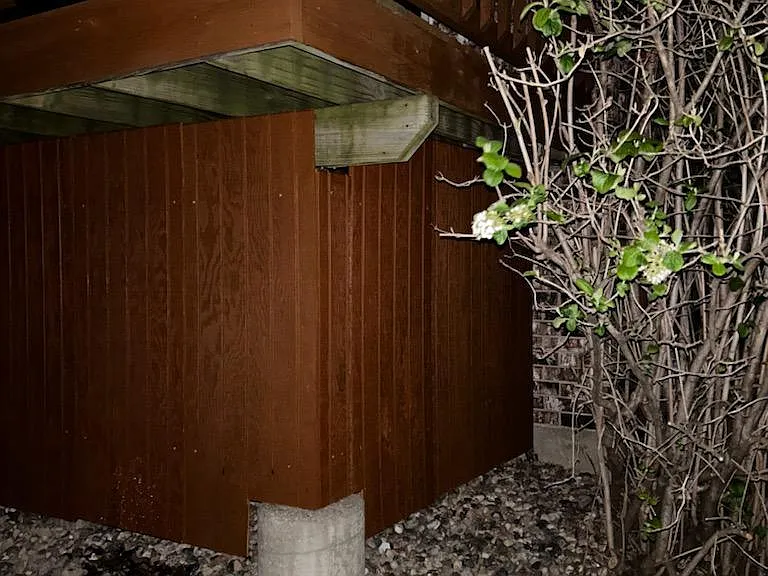 Bush provides privacy from the south face of the building: Siding around deck