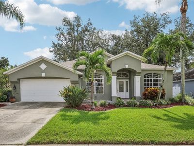 3710 Treeline Dr, Valrico, FL, 33596