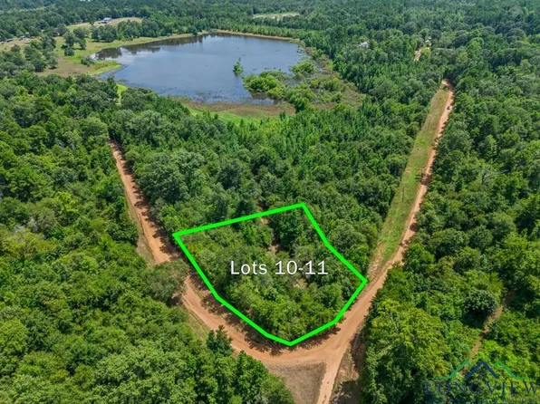 Indian Mound Lake Lots 10 & 11, Hawkins, TX 75765