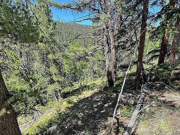 3rd image of LOT 1 Forest Service Rd #766