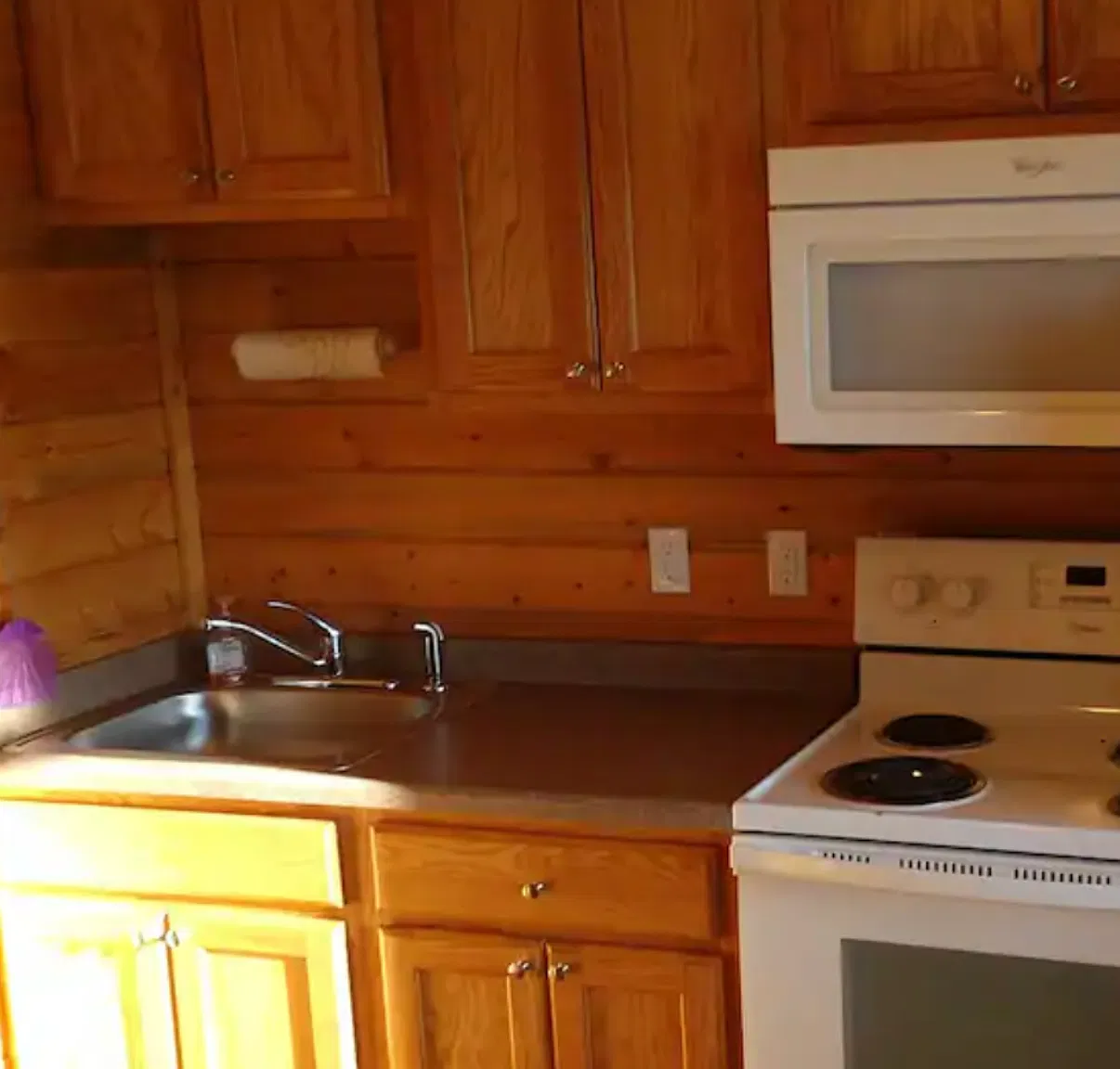 1 bed, 390 sqft, $900 — Photo 2