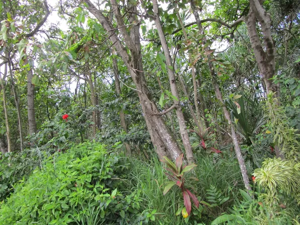 Kekainehe St Lot 75, Pahoa, HI 96778