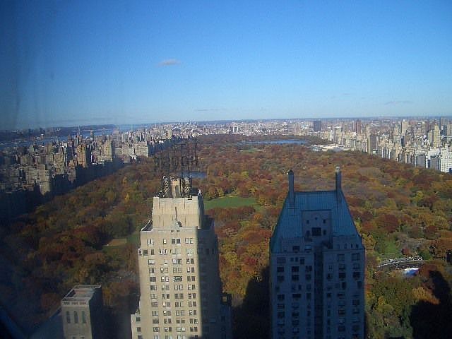 park view
